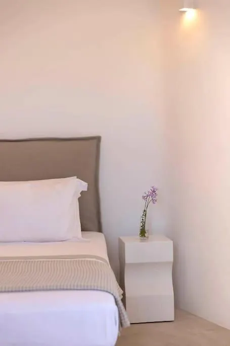 Villa Calithenean Mykonos Town